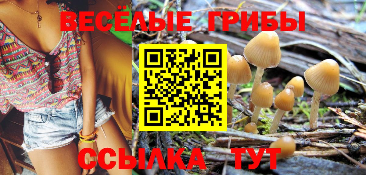 Галлюциногенные грибы прущие грибы  Галлюциногенные грибы MAGIC MUSHROOMS  Татарск  Вход с VPN 