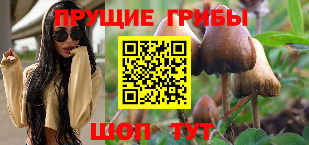 Псилоцибиновые грибы мицелий Татарск