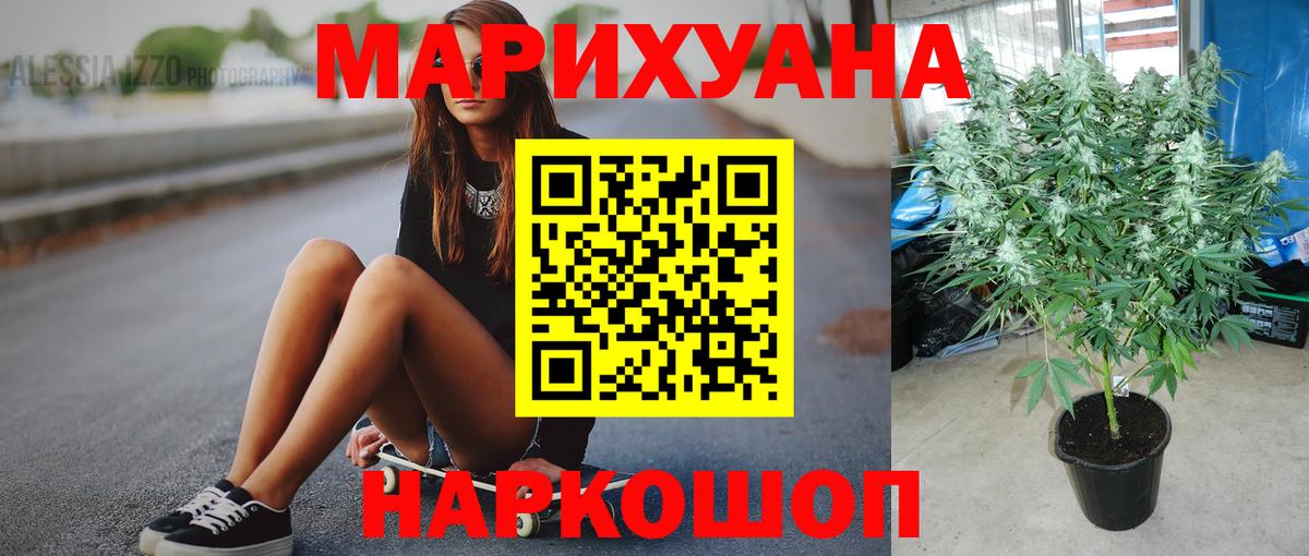 Каннабис планчик  Канабис THC 21%  МАРИХУАНА SATIVA & INDICA  Бошки Шишки марихуана  Татарск  Вход с VPN 